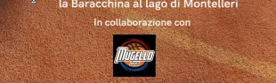 campobasket