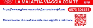 peste suina
