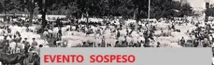 Descrizione immagine non disponibile