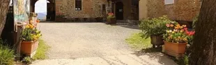 Descrizione immagine non disponibile