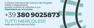 Descrizione immagine non disponibile