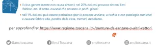 Descrizione immagine non disponibile