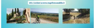 Descrizione immagine non disponibile