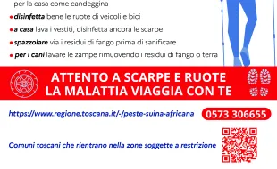 peste suina