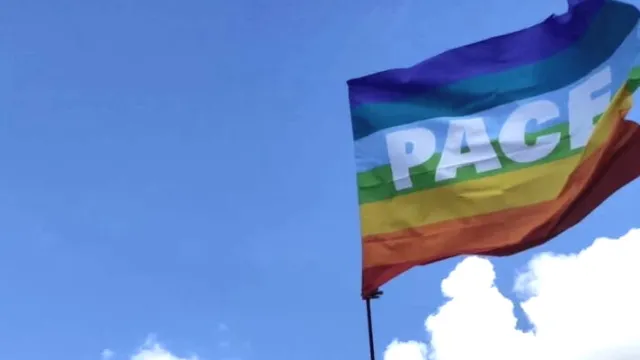 bandiera pace