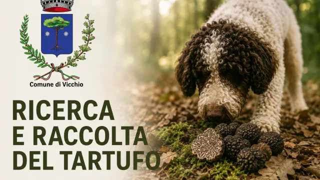 tartufi
