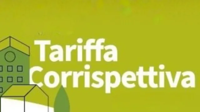 TARIC 2026