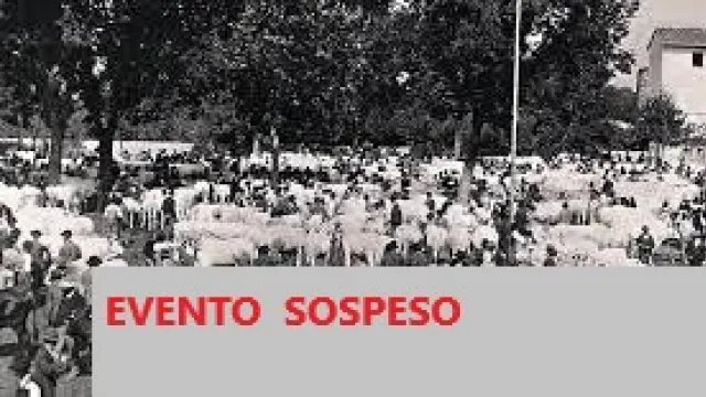 Descrizione immagine non disponibile