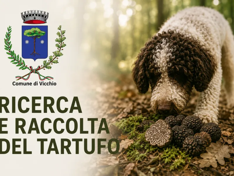 tartufi