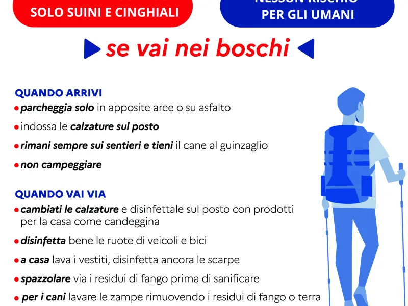 peste suina